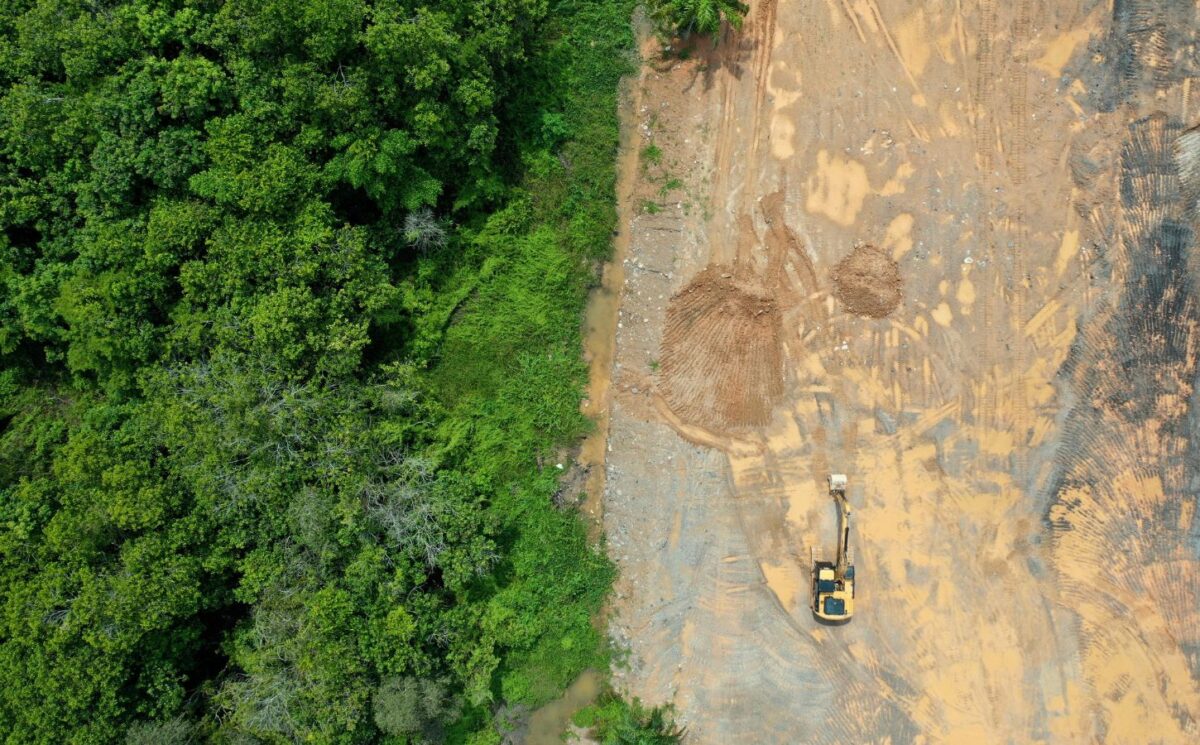The new US nutrition guidelines emphasize resource-intensive animal foods like beef, cheese, milk, and butter, and animal agriculture is already a leading cause of deforestation