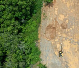 The new US nutrition guidelines emphasize resource-intensive animal foods like beef, cheese, milk, and butter, and animal agriculture is already a leading cause of deforestation