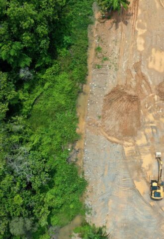 The new US nutrition guidelines emphasize resource-intensive animal foods like beef, cheese, milk, and butter, and animal agriculture is already a leading cause of deforestation