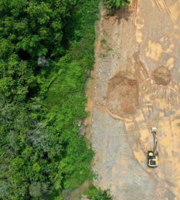 The new US nutrition guidelines emphasize resource-intensive animal foods like beef, cheese, milk, and butter, and animal agriculture is already a leading cause of deforestation