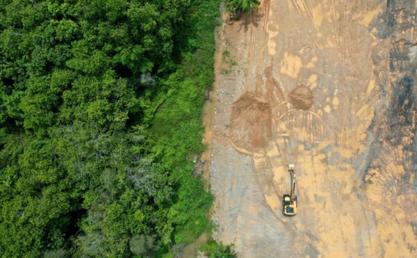 The new US nutrition guidelines emphasize resource-intensive animal foods like beef, cheese, milk, and butter, and animal agriculture is already a leading cause of deforestation