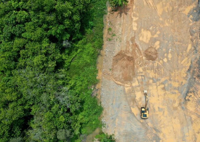 The new US nutrition guidelines emphasize resource-intensive animal foods like beef, cheese, milk, and butter, and animal agriculture is already a leading cause of deforestation