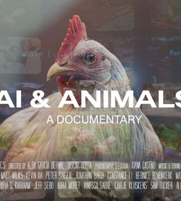 Shows the poster for the new documentary film 'Animals & AI' which explores how the technology could positively or negatively affect animal farming
