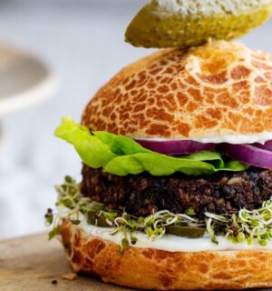 teriyaki black bean burgers with brown rice, silken tofu, vegan mayo, and lime zest