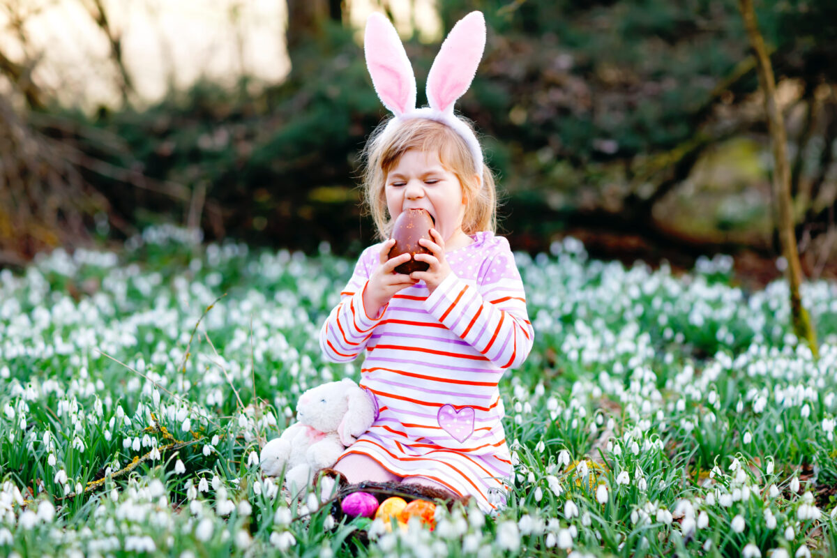 Photo shows a little girl with Easter bunny ears doing a chocolate egg hunt in amongst spring floors on a sunny day