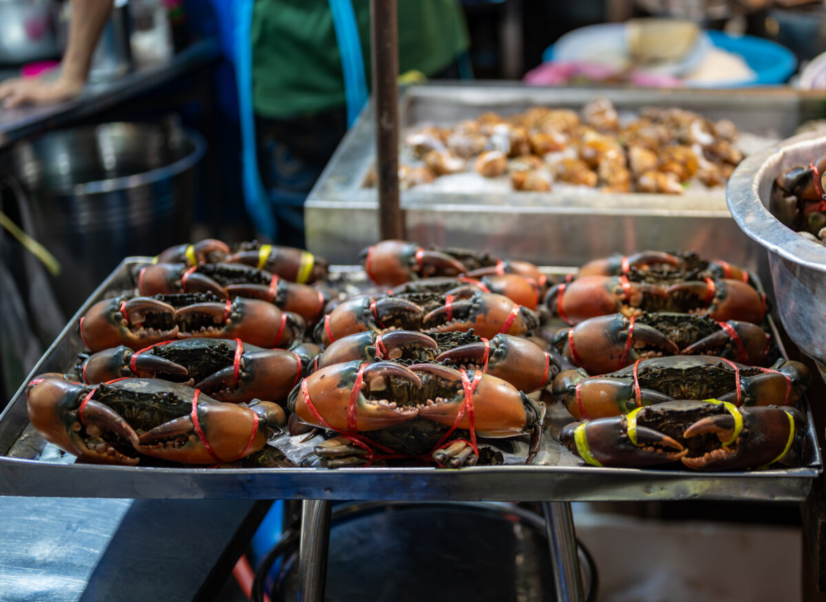 Photo shows rows of live crabs at a seafood market with rubber bands on their claws