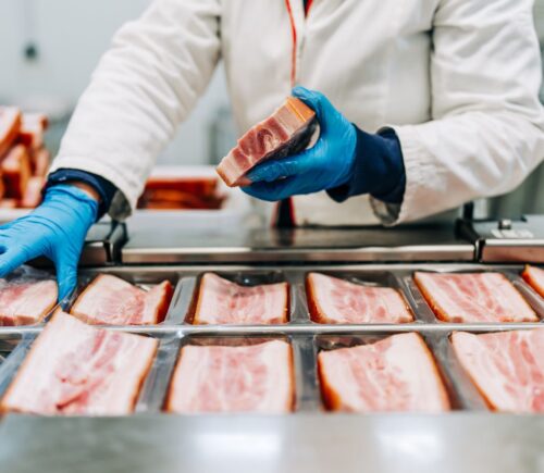Photo shows a factory worker in blue gloves arranging pieces of pork before they are cut into thing bacon slices. How is bacon made?