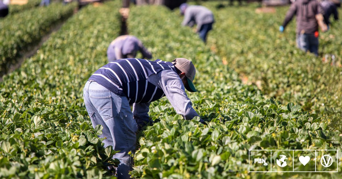 Global Shift To Plant-Based Diets Could Revolutionize Farming And Reduce Labor