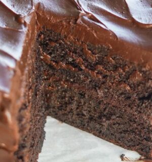 The Ultimate Vegan Chocolate Cake with dark chocolate ganache, cocoa, and coffee