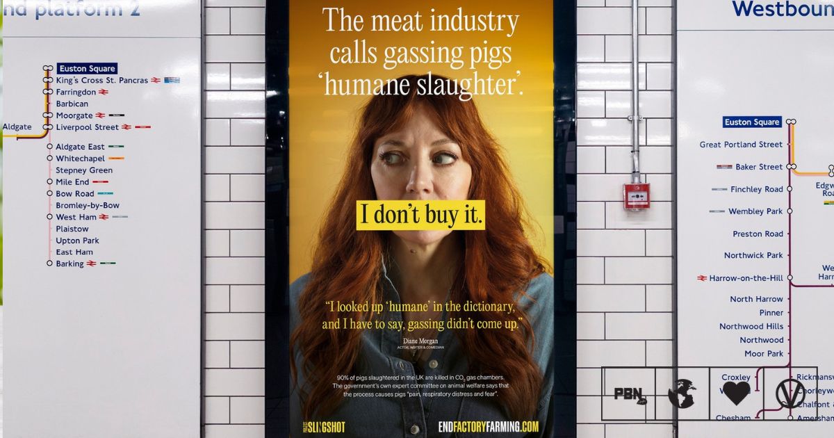Celebrity-Backed Billboard Campaign Warns London Commuters About Factory Farming