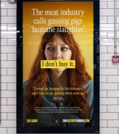 Photo shows a new billboard from Project Slingshot's Ban CO2 Gas Chambers campaign, featuring vegan comedian Diane Morgan, and warning commuters about the reality of factory farming and so-called "humane slaughter" methods, such as CO2 gas chambers