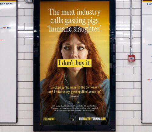 Photo shows a new billboard from Project Slingshot's Ban CO2 Gas Chambers campaign, featuring vegan comedian Diane Morgan, and warning commuters about the reality of factory farming and so-called "humane slaughter" methods, such as CO2 gas chambers