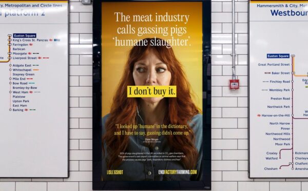 Photo shows a new billboard from Project Slingshot's Ban CO2 Gas Chambers campaign, featuring vegan comedian Diane Morgan, and warning commuters about the reality of factory farming and so-called "humane slaughter" methods, such as CO2 gas chambers