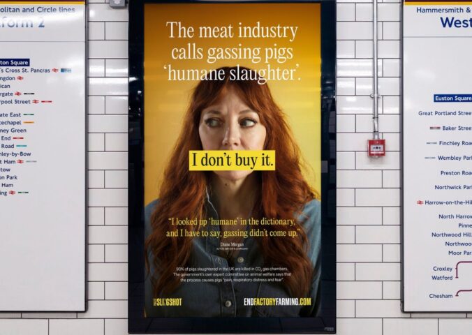 Photo shows a new billboard from Project Slingshot's Ban CO2 Gas Chambers campaign, featuring vegan comedian Diane Morgan, and warning commuters about the reality of factory farming and so-called "humane slaughter" methods, such as CO2 gas chambers