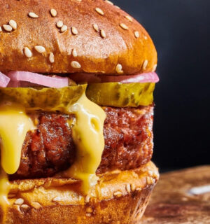 vegan earth day burger for Earth Day, BBQs spring etc