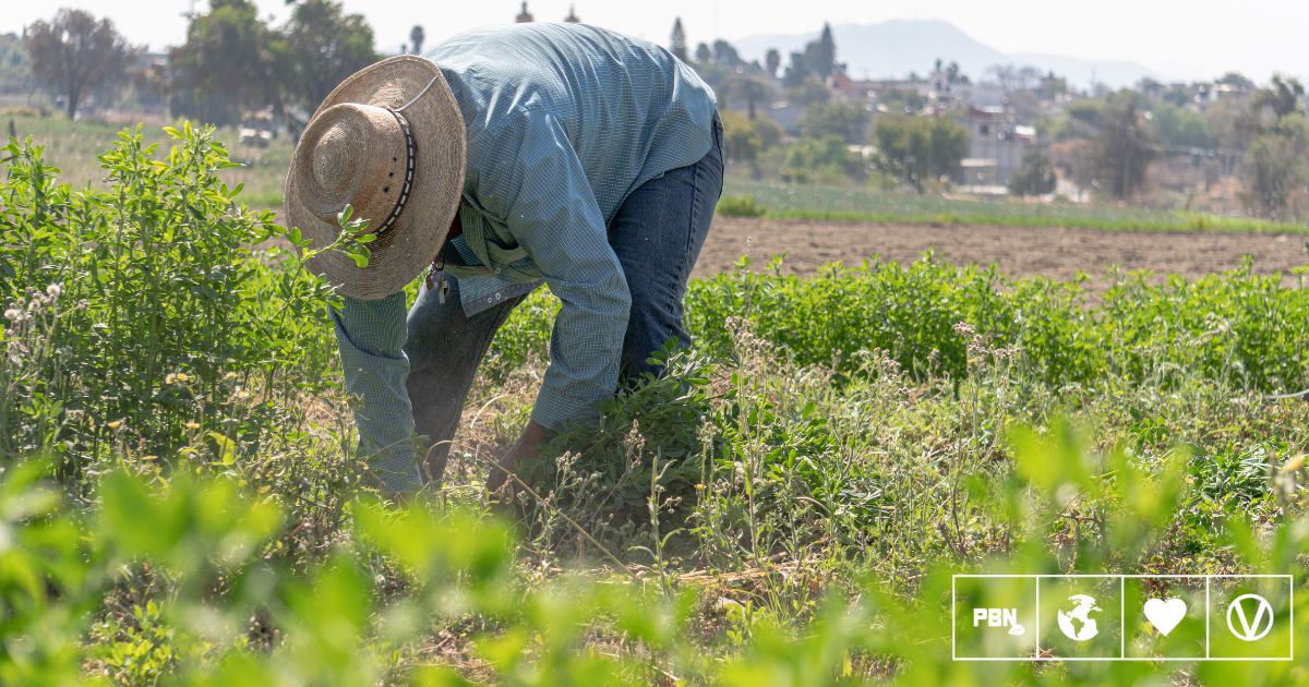 New Bipartisan Legislation Could Help Expand Plant-Based Manufacturing In The US
