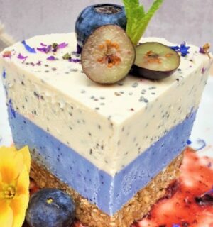 a layered lemon and blueberry cheesecake for blueberry recipes