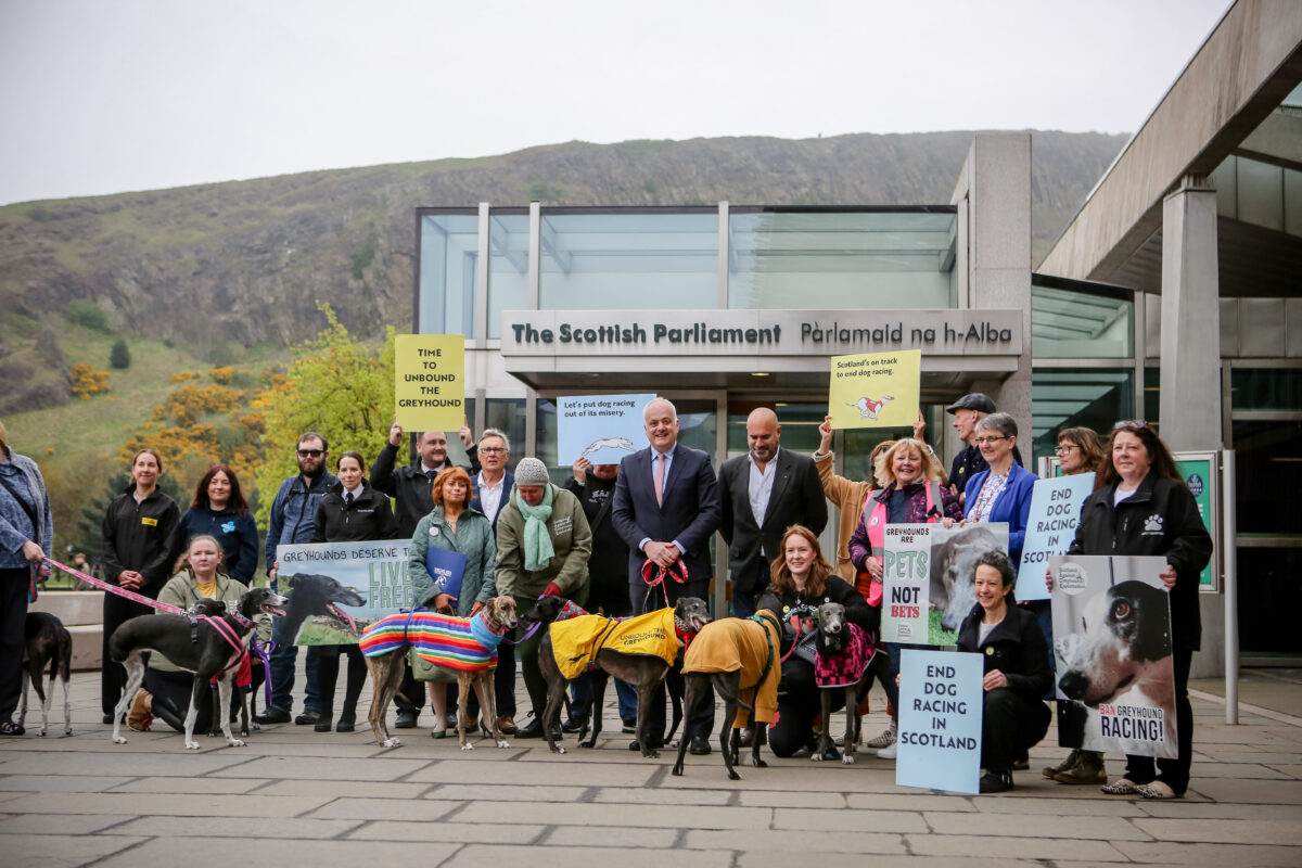 Photo shows members of the Unbound the Greyhound coalition, campaigners, and MEPs standing outside Scottish parliament. Scotland and Wales have both agreed to ban greyhound racing