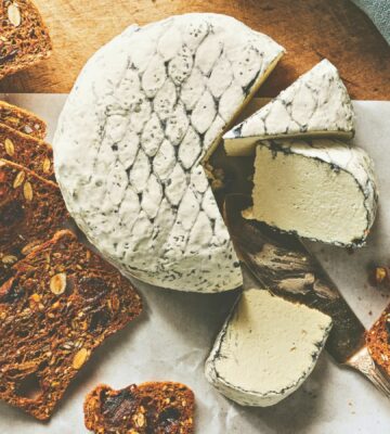 A wheel of snow white rind vegan cheese like brie or camembert for vegan charcuterie