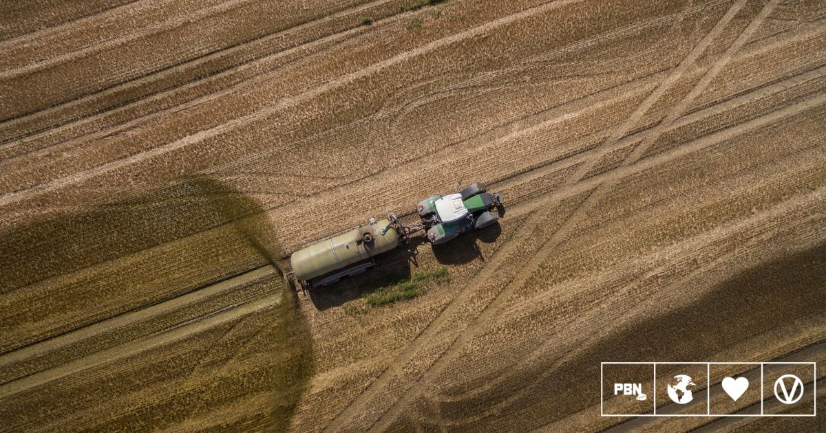 UK’s Worst Ammonia Pollution Hotspots Correlate With Factory Farms