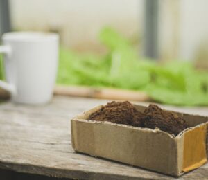 Photo shows a cup of coffee on a wooden bench next to a planter filled with green leaves and a cardboard box of spent coffee grounds. A biotech company has filed a global patent for upcycling coffee grounds into a flavor-enhancer that could improve plant-based meat