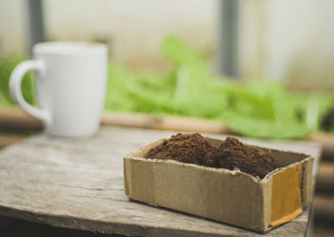 Photo shows a cup of coffee on a wooden bench next to a planter filled with green leaves and a cardboard box of spent coffee grounds. A biotech company has filed a global patent for upcycling coffee grounds into a flavor-enhancer that could improve plant-based meat