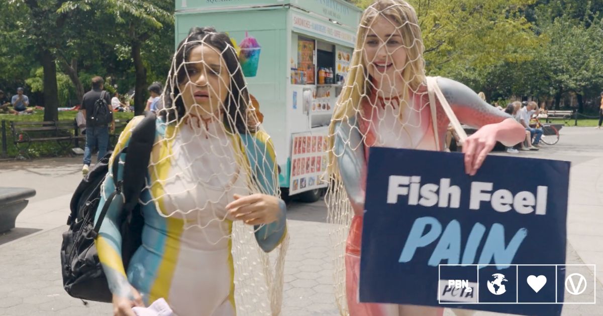 Green Goddesses Take NY: Vegan TV Show Nominated For Webby