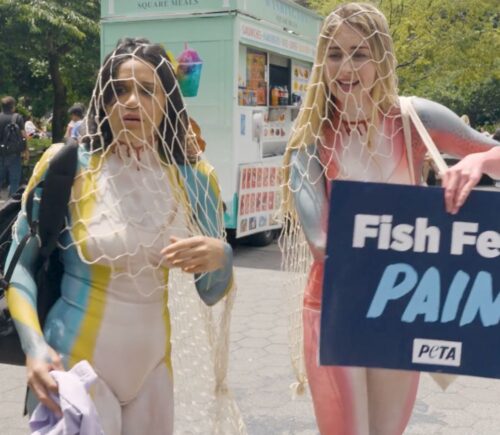 Photo shows a scene from the pilot episode of Green Goddesses Take New York, a reality comedy show from UnchainedTV that follows follows real life friends Justina Adorno and Jamie Logan as they get body-painted as endangered fish and do yoga in Times Square