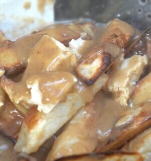 Schinner's vegan poutine recipe yielded this bowl of French fries topped with tofu cheese curds and mushroom gravy