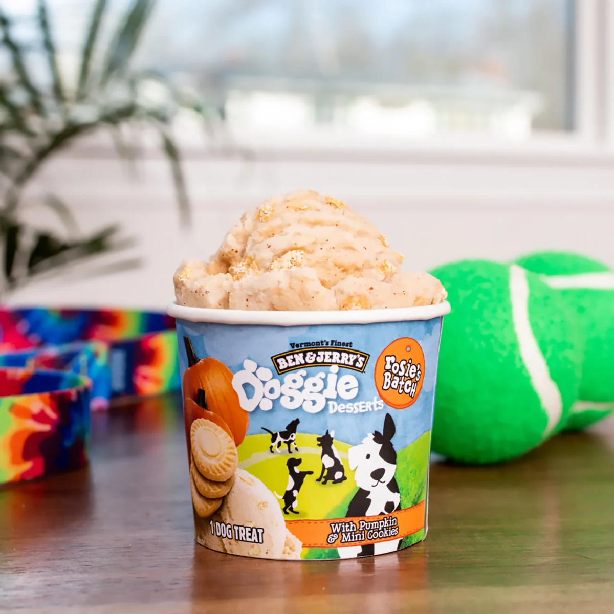 Photo shows a tub of the Ben & Jerry’s Doggy Desserts in "Rosie’s Batch" flavor, featuring pumpkin and mini cookies. It’s nearly summer, and people are once again eating Ben & Jerry’s Doggy Desserts. But this time, the pup-friendly ice creams appear to be “accidentally” vegan