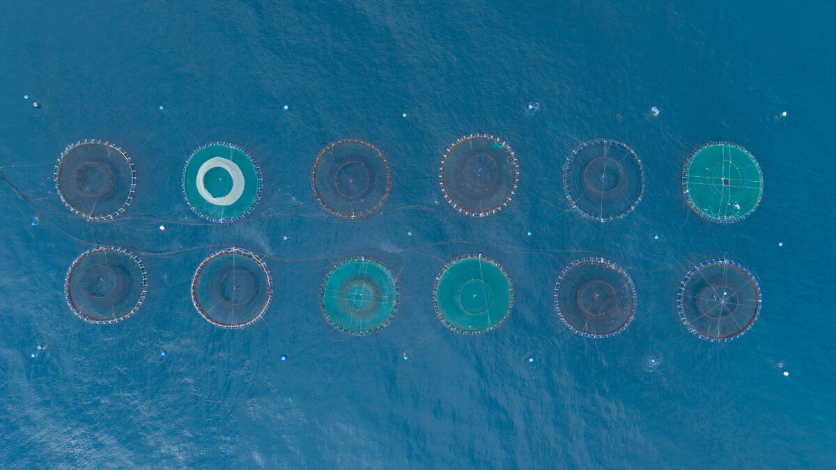 Photo shows a series of aquaculture pens in the ocean. US President Donald Trump has continued to push for what some are calling the “chickenification” of aquaculture