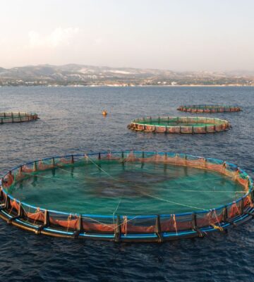Photo shows a large aquaculture pen in the ocean, with two more in the background. US President Donald Trump has continued to push for what some are calling the “chickenification” of aquaculture by removing and watering down the sector’s existing regulations