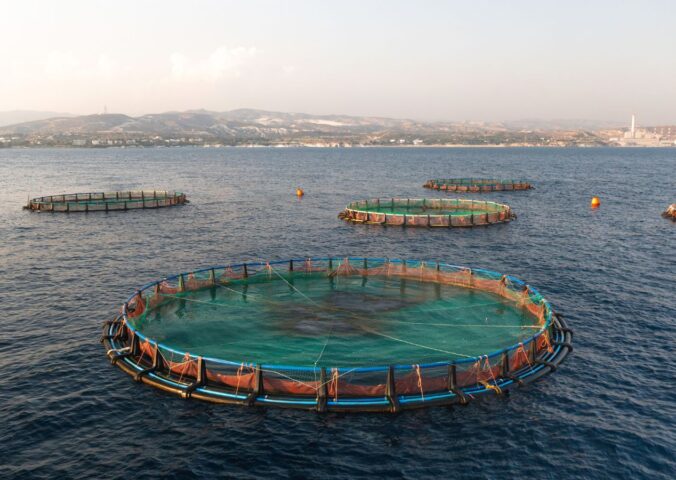 Photo shows a large aquaculture pen in the ocean, with two more in the background. US President Donald Trump has continued to push for what some are calling the “chickenification” of aquaculture by removing and watering down the sector’s existing regulations