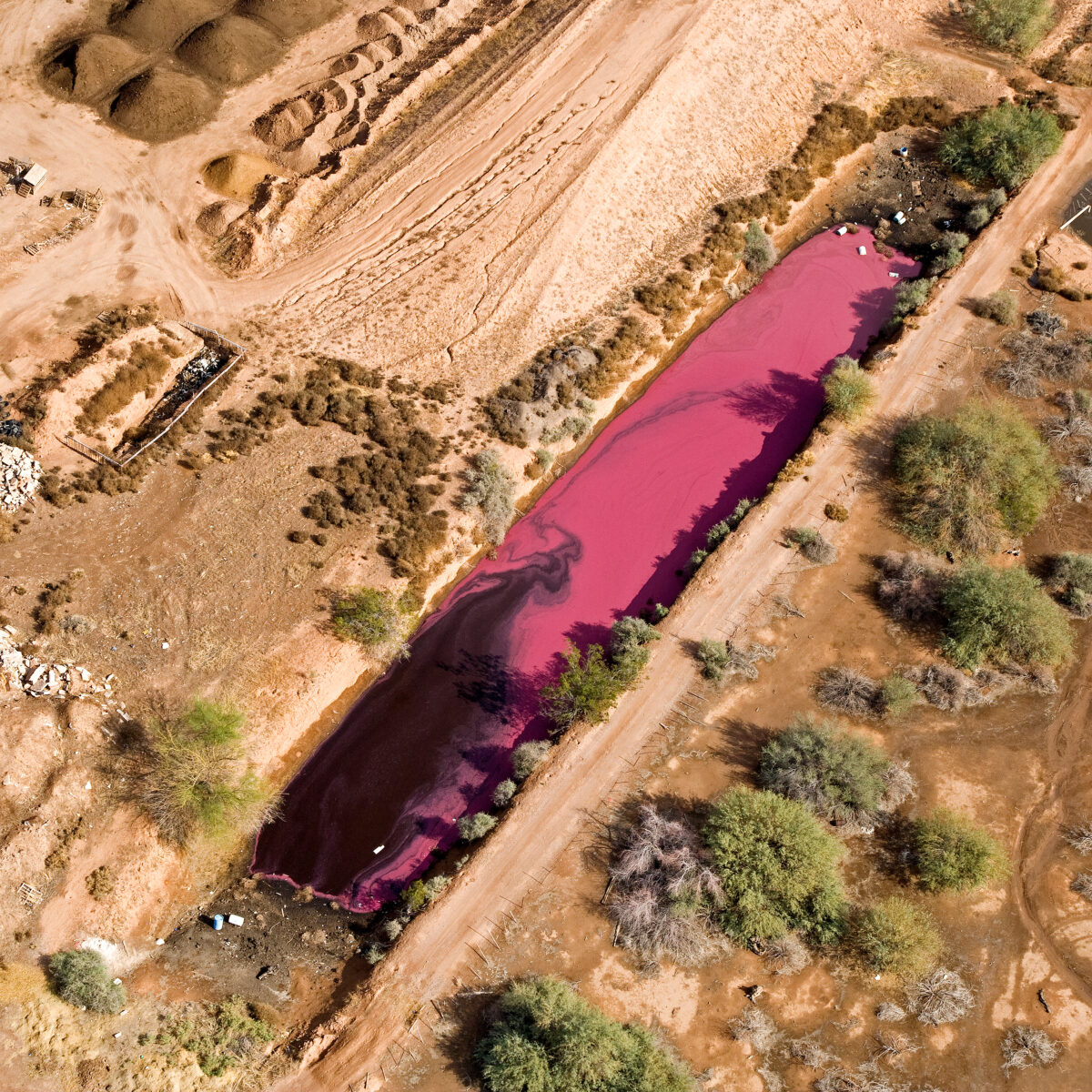 Bright Pink outdoor pit of decomposing material as viewed from above