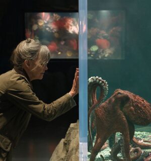 Photo shows Sally Field (left) and Marcellus (right), a CGI octopus. 'Remarkably Bright Creatures' is a new Netflix film featuring an octopus could make you rethink eating seafood