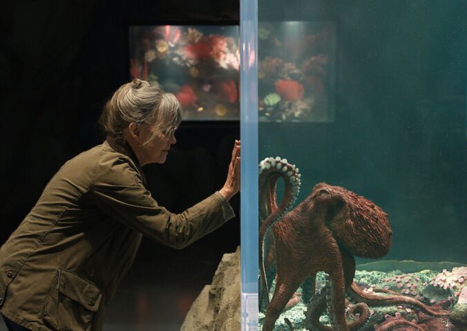 Photo shows Sally Field (left) and Marcellus (right), a CGI octopus. 'Remarkably Bright Creatures' is a new Netflix film featuring an octopus could make you rethink eating seafood