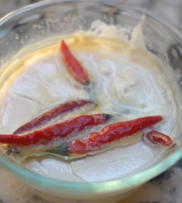 To make vegan yogurt from chilis, Miyoko adds whole Thai chilis to warm plant milk to ferment and create a starter culture