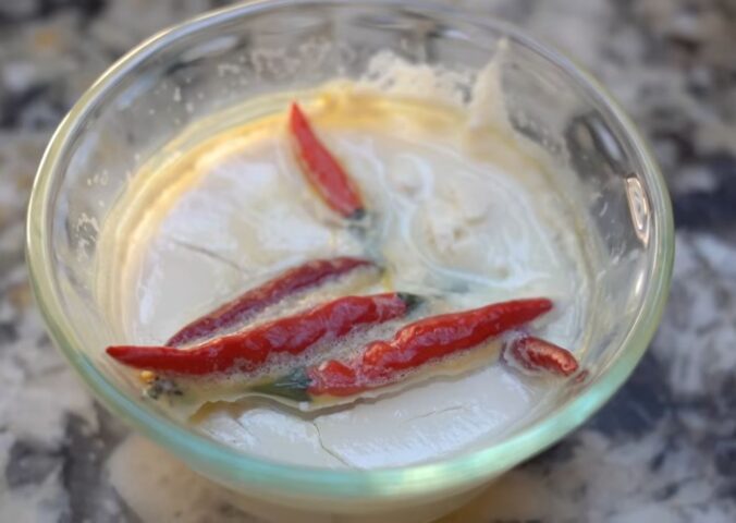 To make vegan yogurt from chilis, Miyoko adds whole Thai chilis to warm plant milk to ferment and create a starter culture