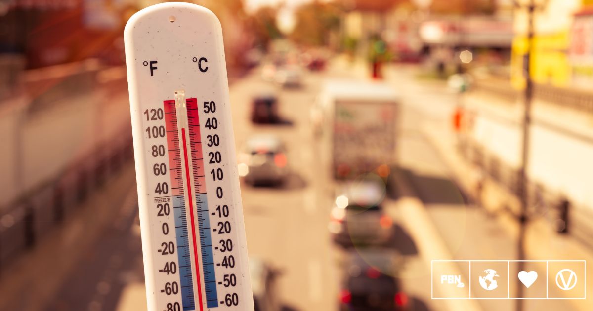 Animal Agriculture Is Responsible For The UK's 40C Heatwave