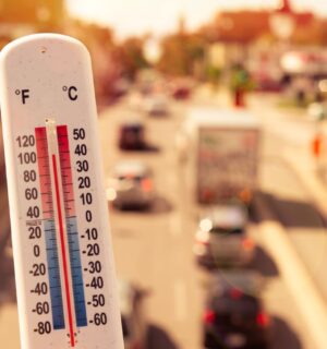 Photo shows a thermometer in someone's hand on an overpass above a busy road. Temperatures in the UK could hit 40C this week for the second time since records began, and animal agriculture is responsible