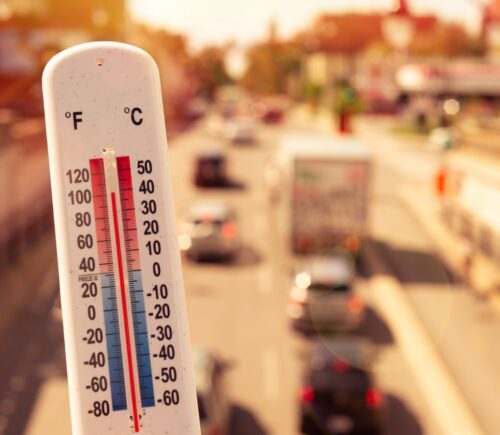 Photo shows a thermometer in someone's hand on an overpass above a busy road. Temperatures in the UK could hit 40C this week for the second time since records began, and animal agriculture is responsible