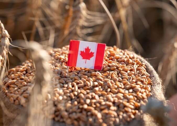 Photo shows a small Canadian flag in the top of a bag of grain. Canada has announced a new USD $2.1 billion (CAD $3 billion) food strategy, but it doesn’t mention plant-based or alternative proteins once