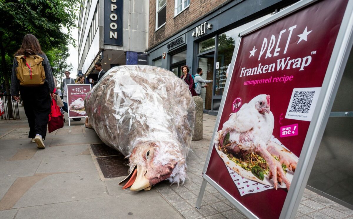 Photo shows a gigantic sculpture of a "frankenchicken" chicken wrap outside Pret. The ongoing stunt is the first of Anima’s £1 million “Public Accountability Campaign” focused on Pret’s broken promise to stop selling “Frankenchickens” by 2026