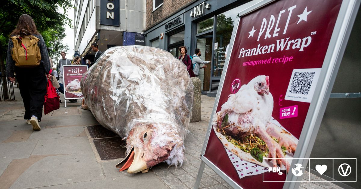 ‘Monstrous’ Chicken Sculpture Dumped Outside London Pret
