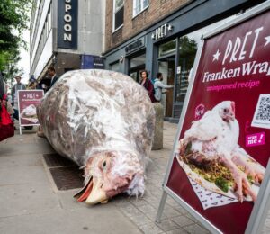 Photo shows a gigantic sculpture of a "frankenchicken" chicken wrap outside Pret. The ongoing stunt is the first of Anima’s £1 million “Public Accountability Campaign” focused on Pret’s broken promise to stop selling “Frankenchickens” by 2026