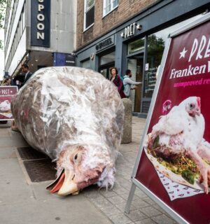 Photo shows a gigantic sculpture of a "frankenchicken" chicken wrap outside Pret. The ongoing stunt is the first of Anima’s £1 million “Public Accountability Campaign” focused on Pret’s broken promise to stop selling “Frankenchickens” by 2026