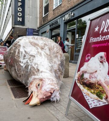Photo shows a gigantic sculpture of a "frankenchicken" chicken wrap outside Pret. The ongoing stunt is the first of Anima’s £1 million “Public Accountability Campaign” focused on Pret’s broken promise to stop selling “Frankenchickens” by 2026