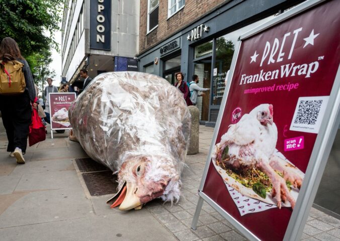 Photo shows a gigantic sculpture of a "frankenchicken" chicken wrap outside Pret. The ongoing stunt is the first of Anima’s £1 million “Public Accountability Campaign” focused on Pret’s broken promise to stop selling “Frankenchickens” by 2026