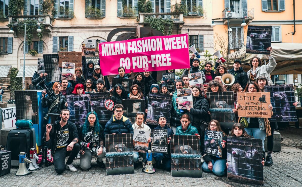 Photo shows CAFT protestors. CAFT has been protesting Milan Fashion Week's continued use of fur on the runway. The Lutech Group is the fifth and most recent company to drop its partnership with Milan Fashion Week over the issue.