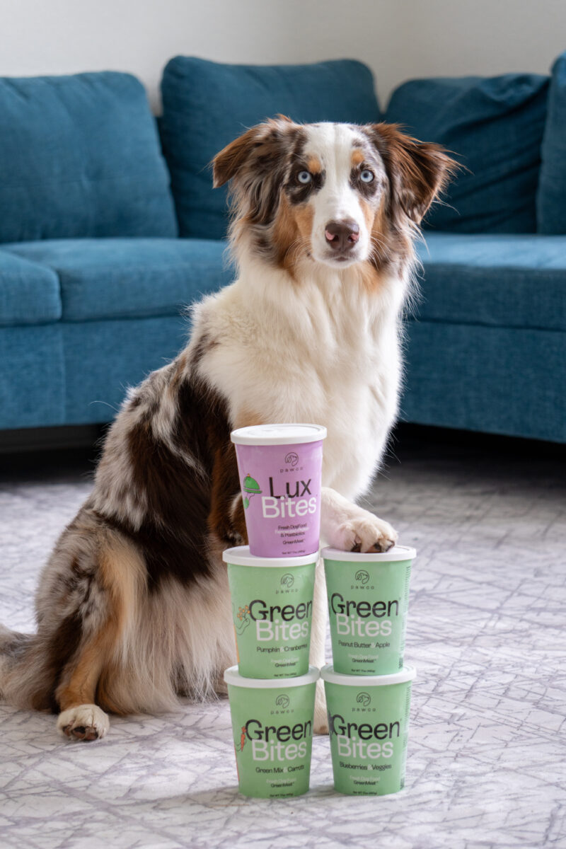 Photo shows a dog sitting with one forepaw on a stack of PawCo products. The British brand produces vet-formulated, plant-based dog food backed by board-certified animal nutrition experts